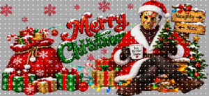 16oz Christmas-S  2617